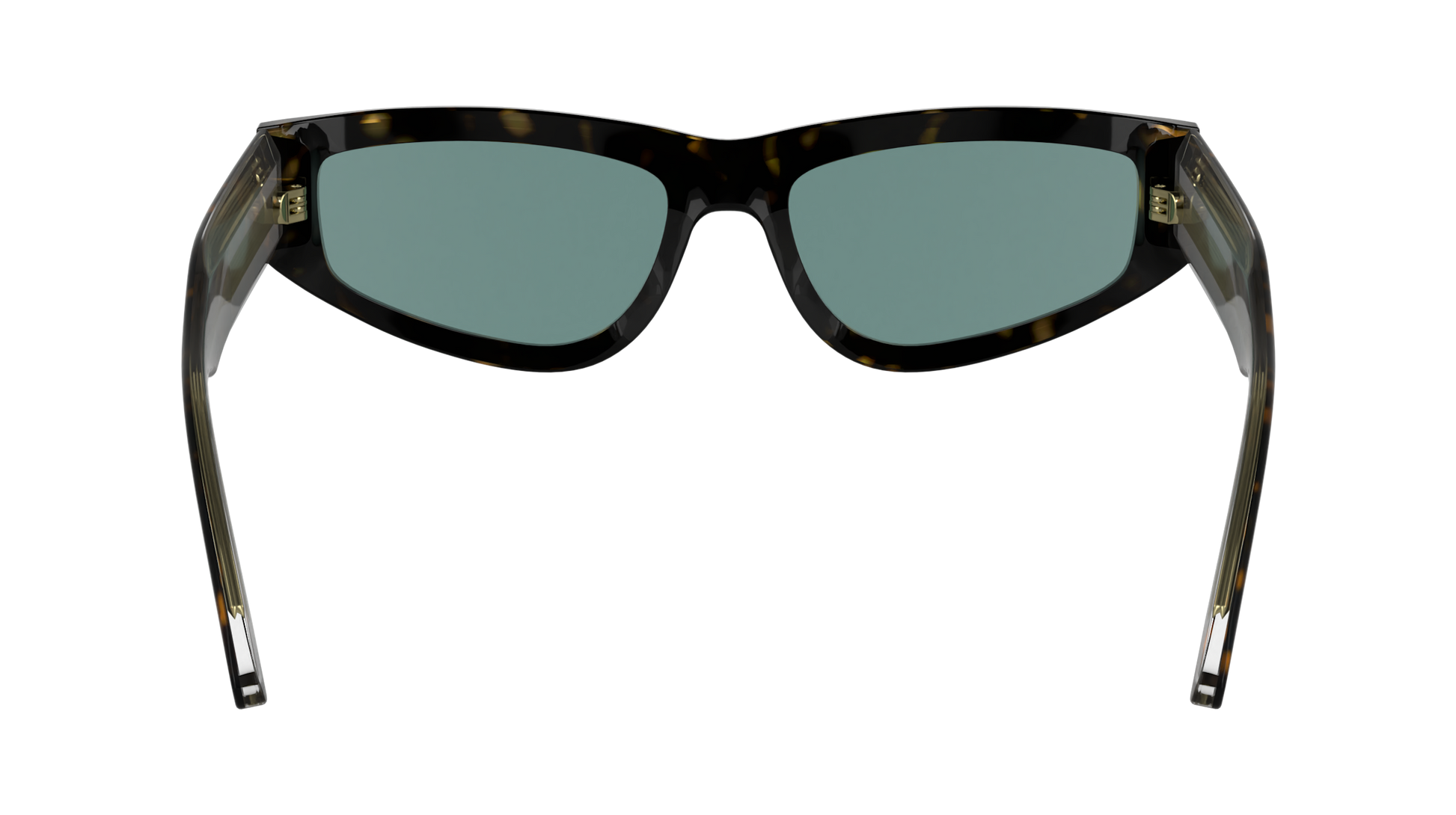 CALVIN KLEIN Sunglasses CK24534S 235 54