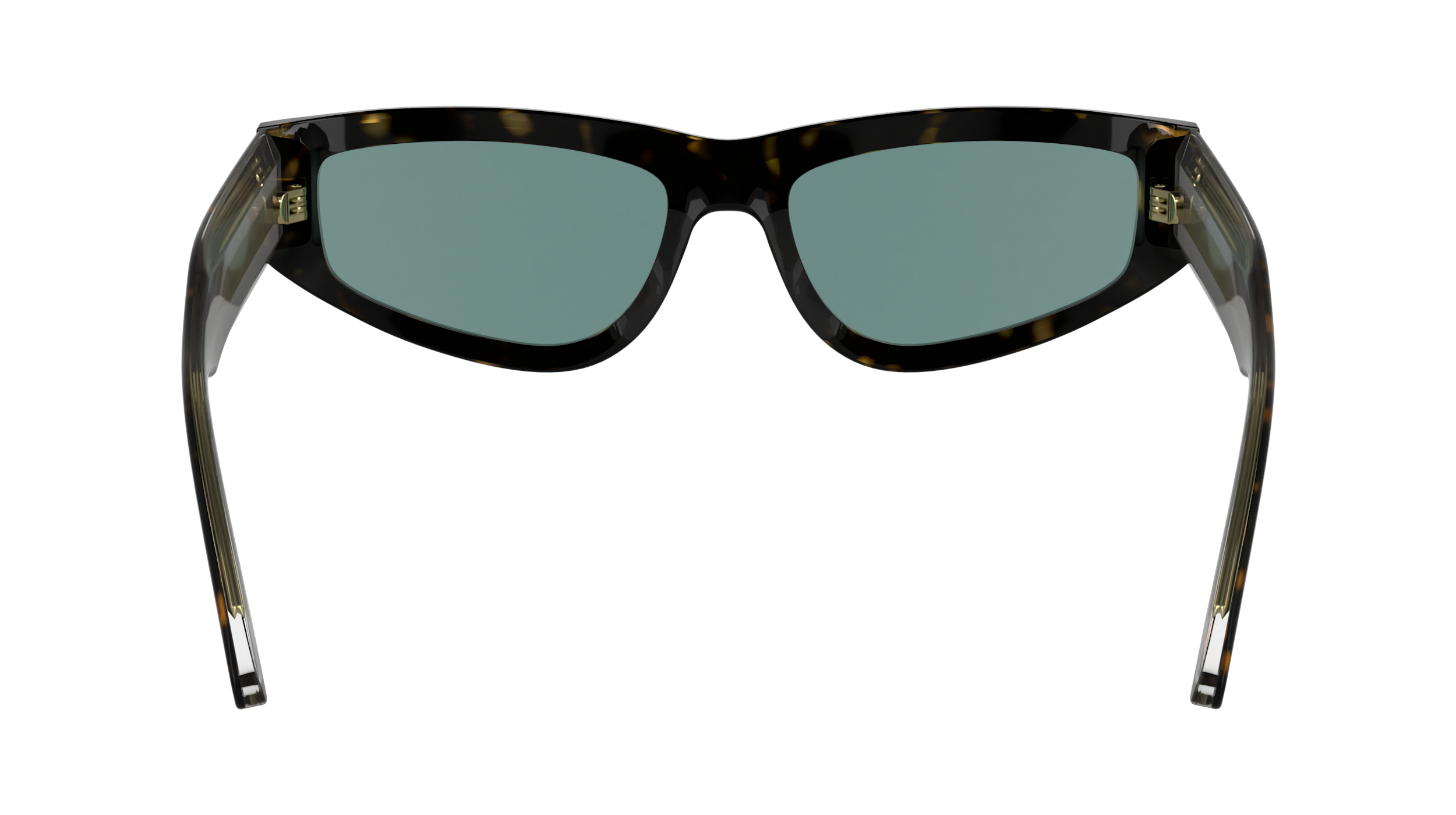 CALVIN KLEIN Sunglasses CK24534S 235 54