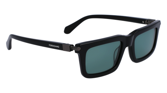 FERRAGAMO Sunglasses SF2015S 1 53