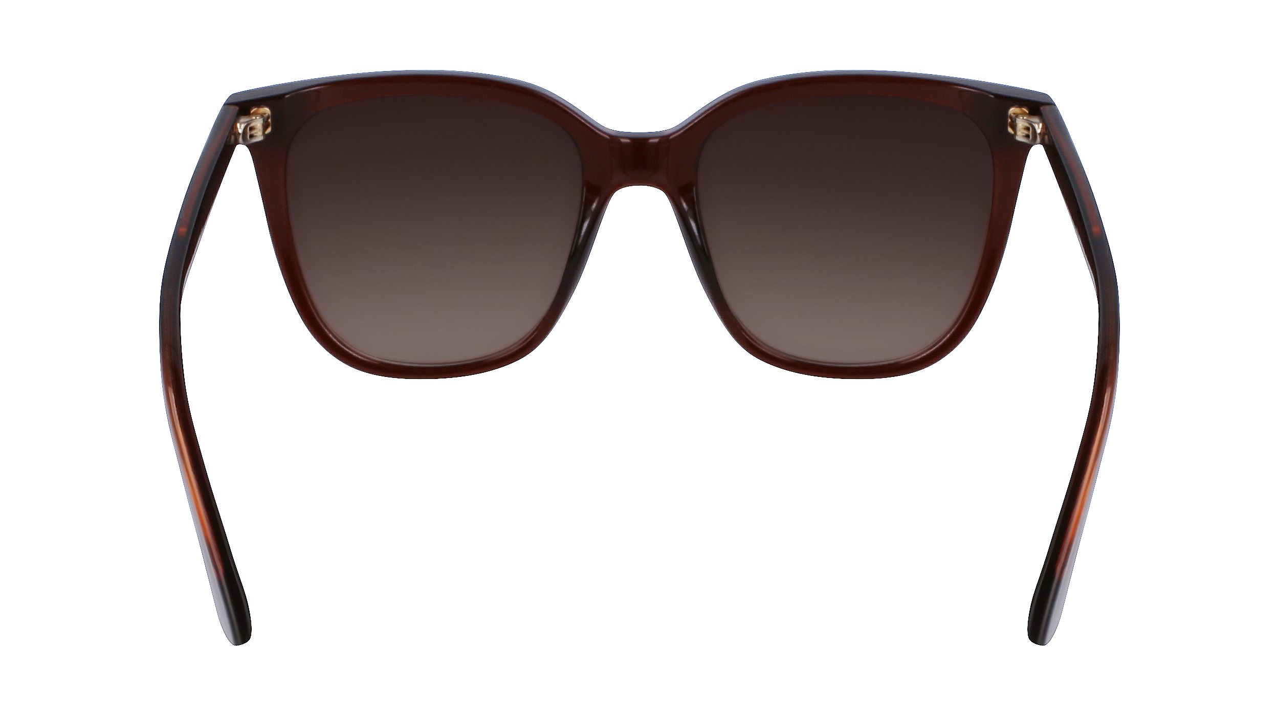 CALVIN KLEIN Sunglasses CK23506S 200 53