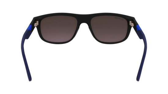 LACOSTE Sunglasses L6042S 4 55