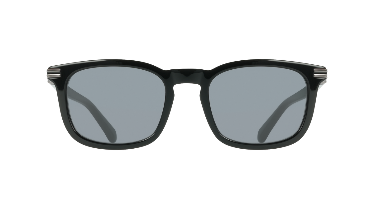 Ferragamo SF2120S 1