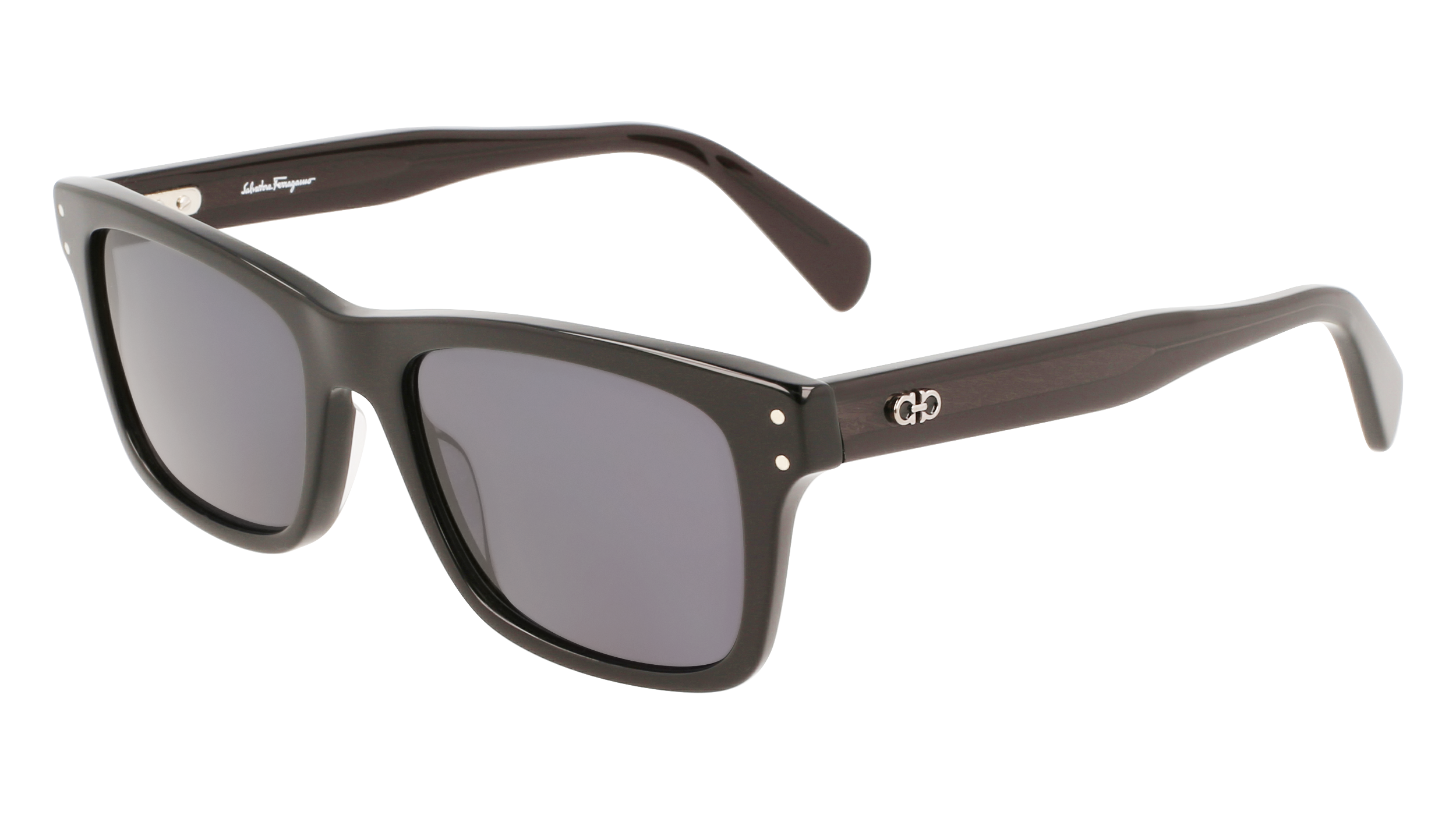 FERRAGAMO Sunglasses SF1039S 1 54