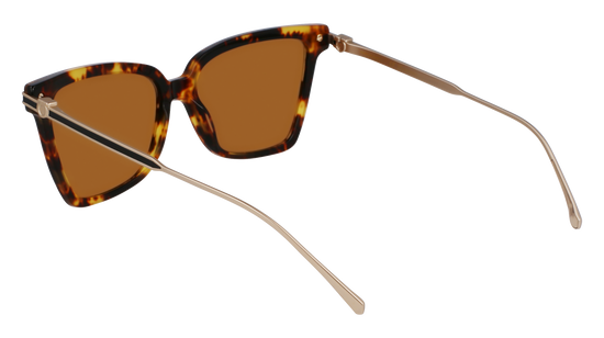 FERRAGAMO Sunglasses SF2036S 242 56