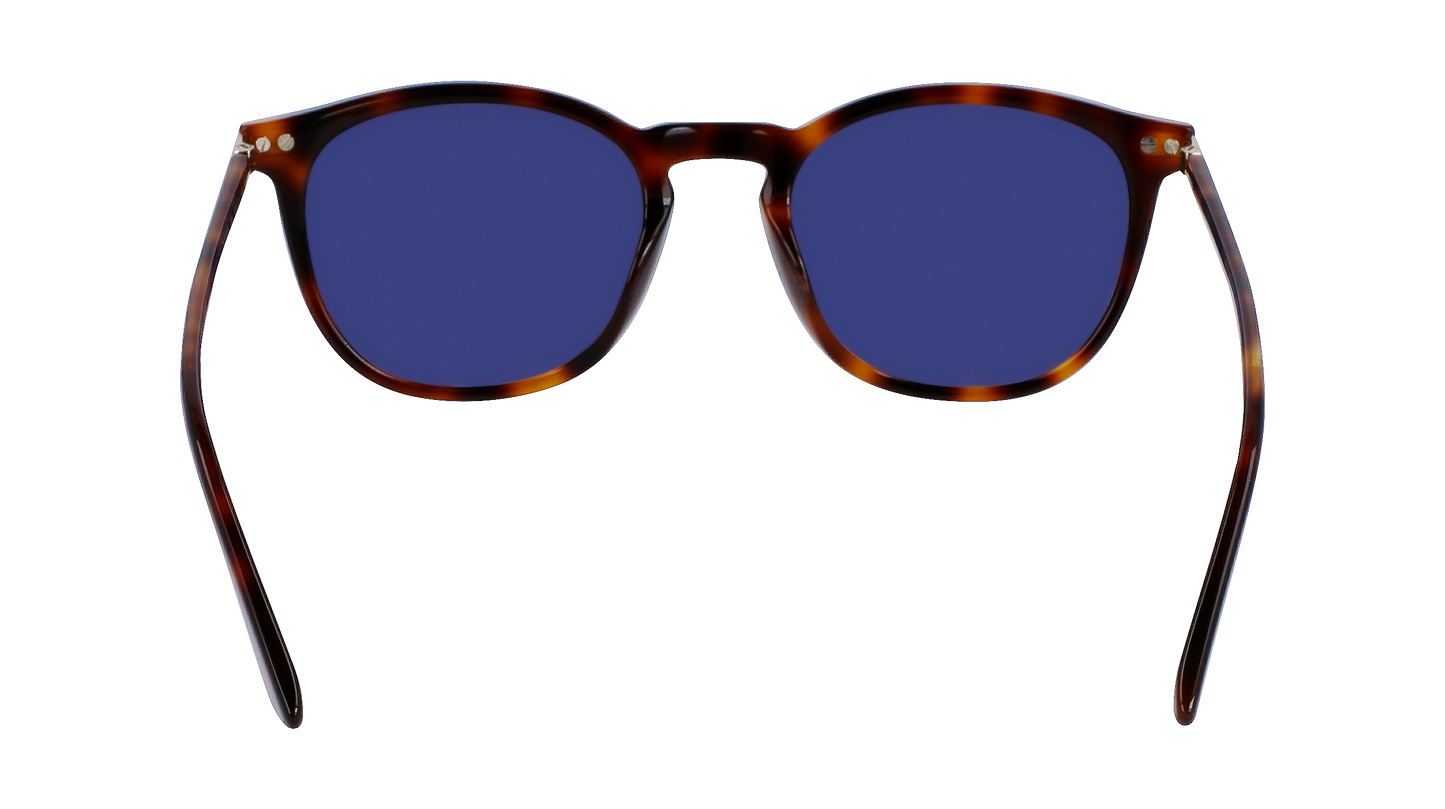 CALVIN KLEIN Sunglasses CK22533S 220 52