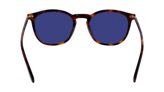 CALVIN KLEIN Sunglasses CK22533S 220 52