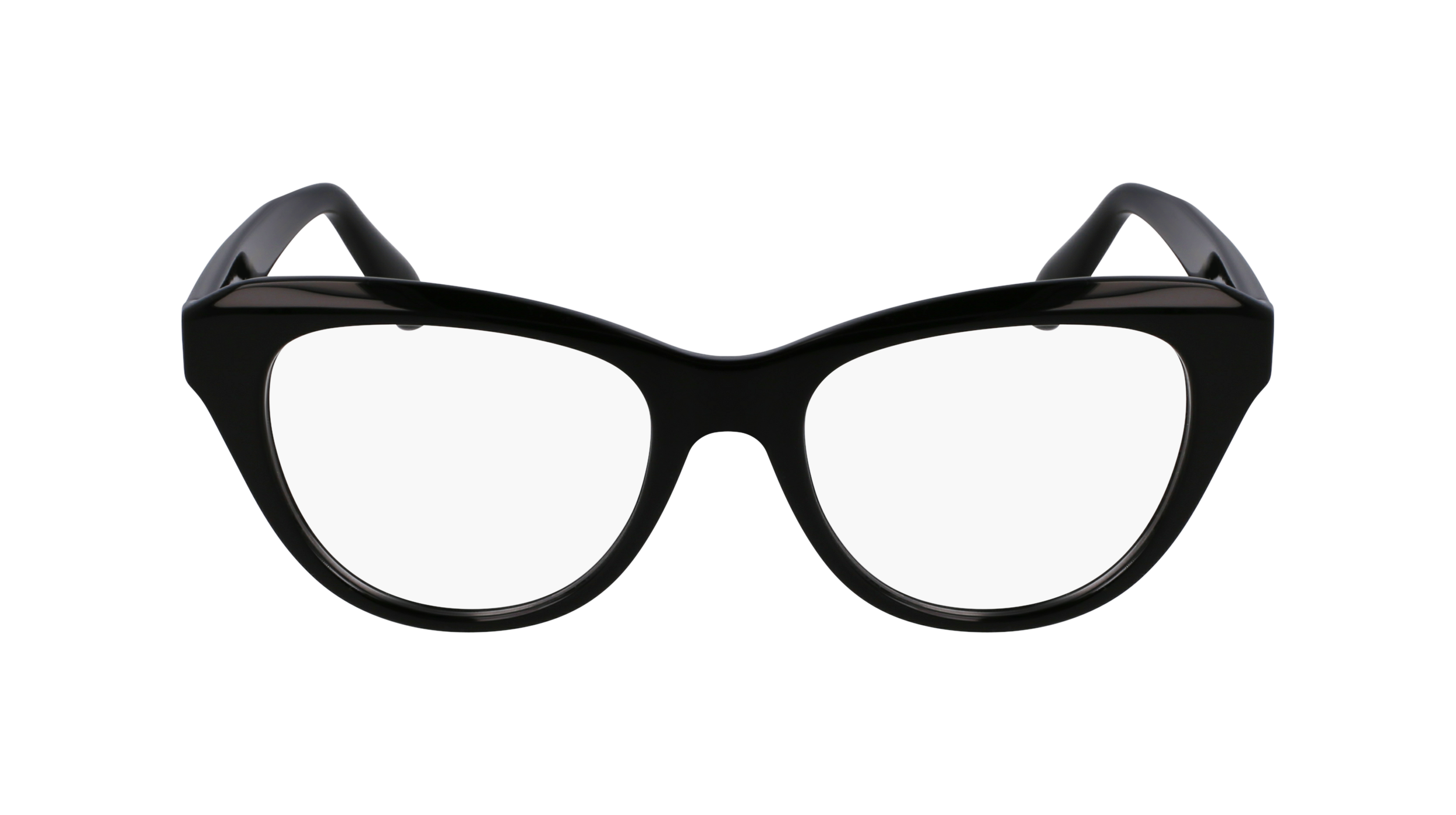 FERRAGAMO Eyeglasses SF2989E 1 51