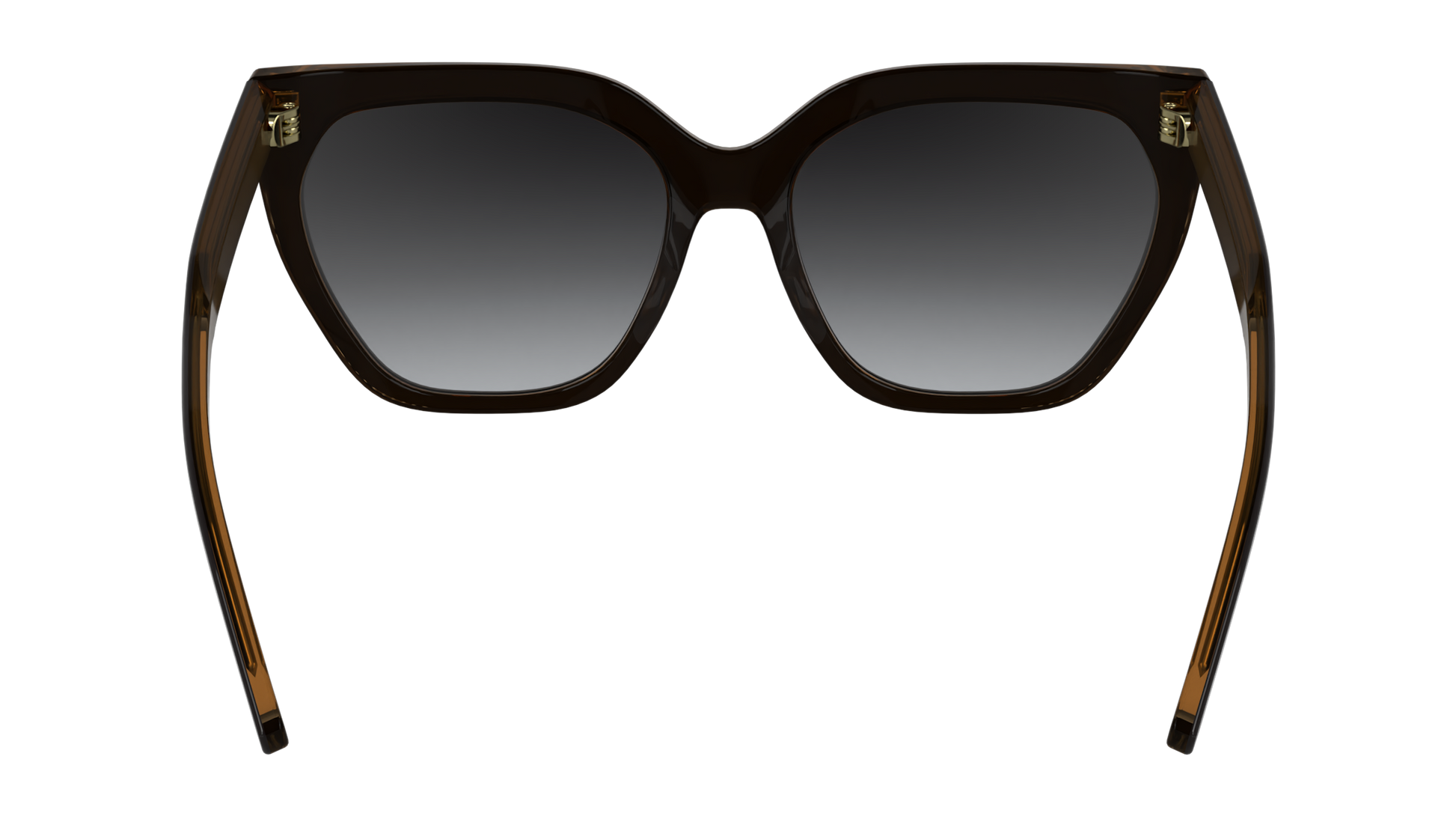 CALVIN KLEIN Sunglasses CK24535S 2 55