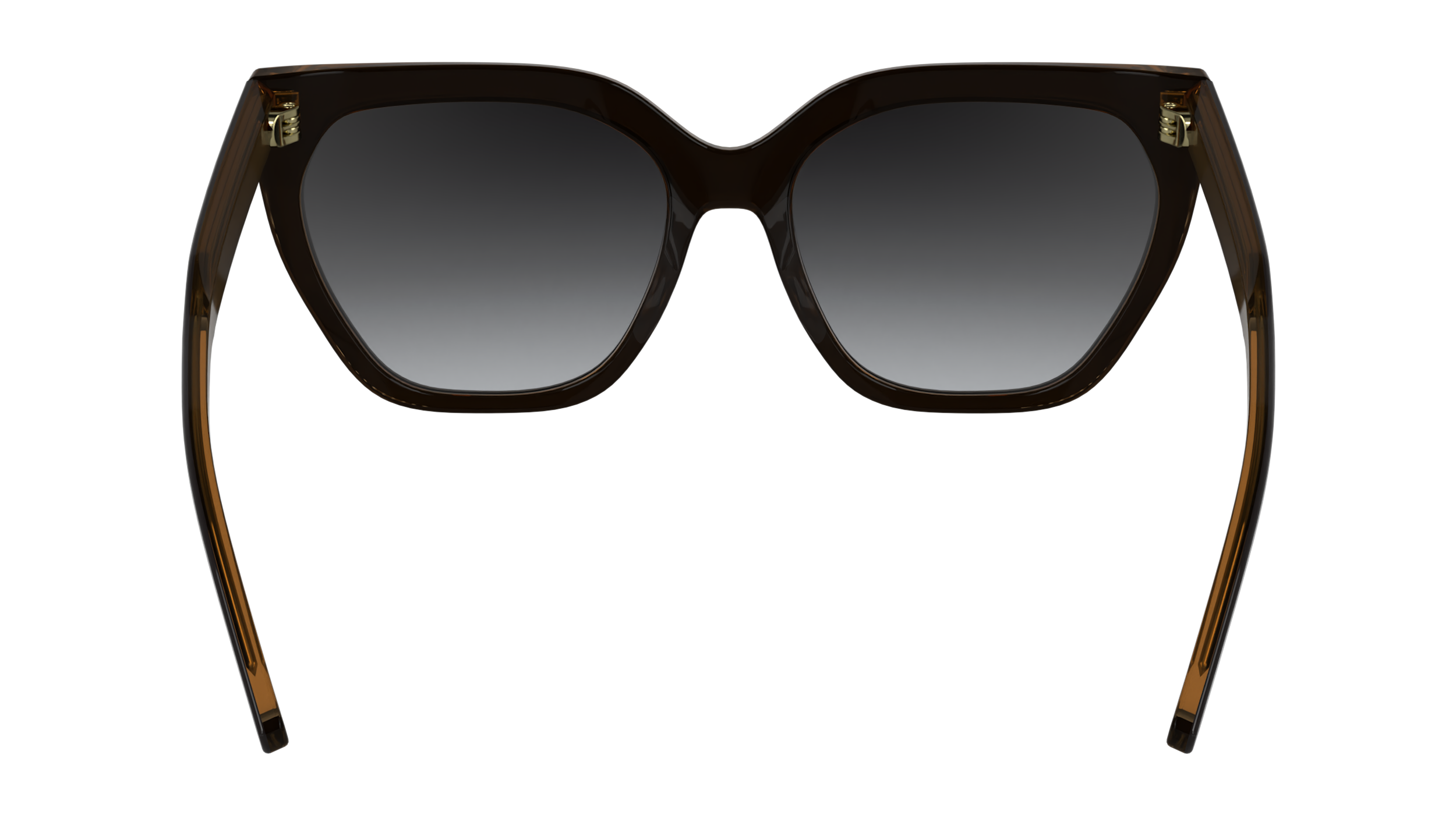 CALVIN KLEIN Sunglasses CK24535S 2 55