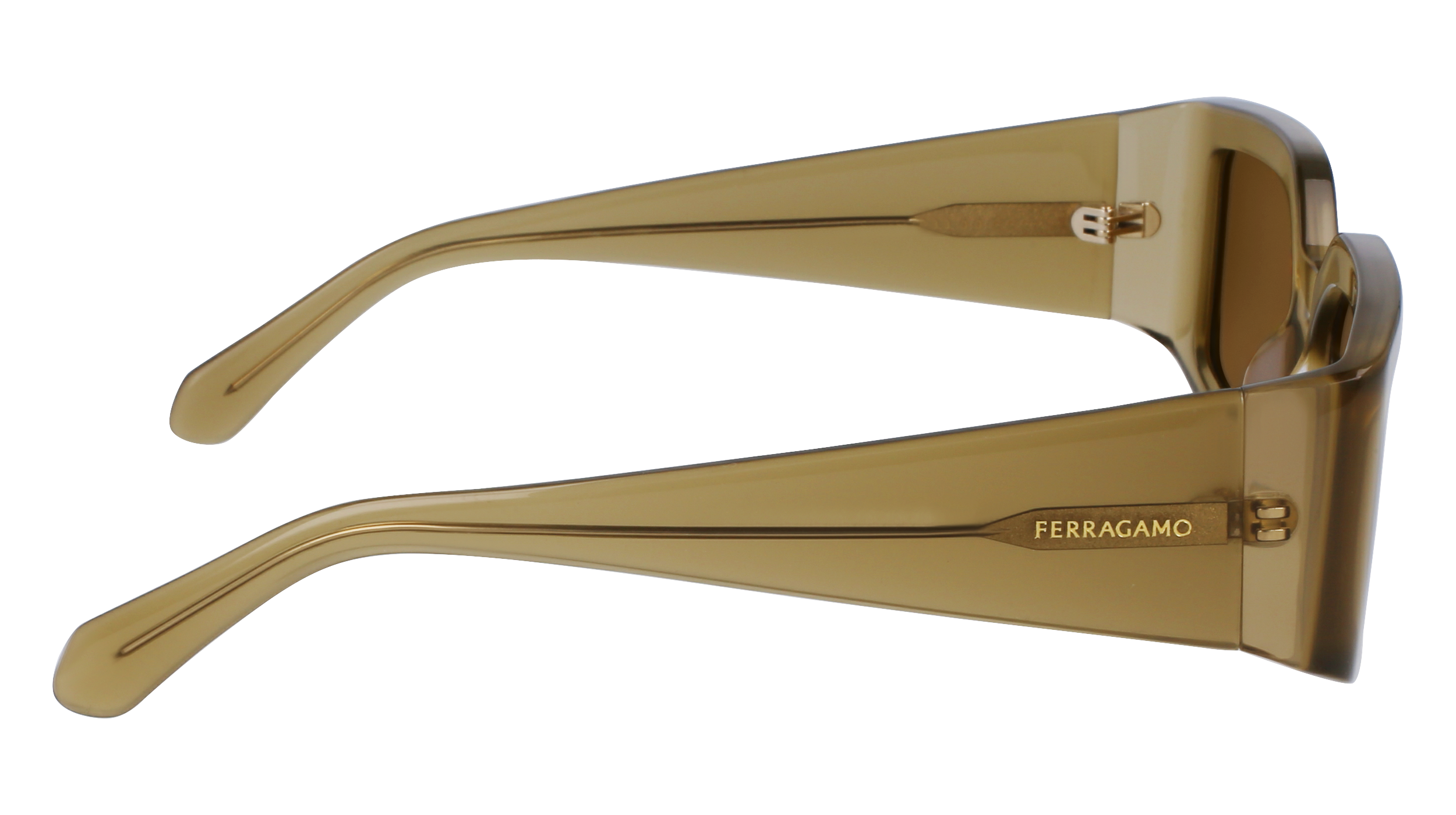 FERRAGAMO Sunglasses SF1101S 330 54