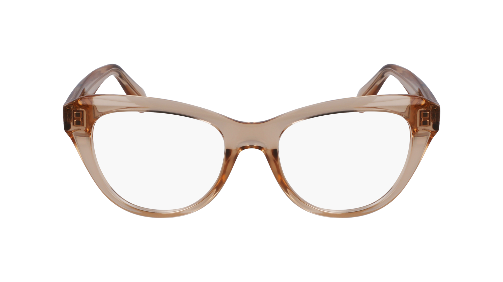 FERRAGAMO Eyeglasses SF2989E 259 51