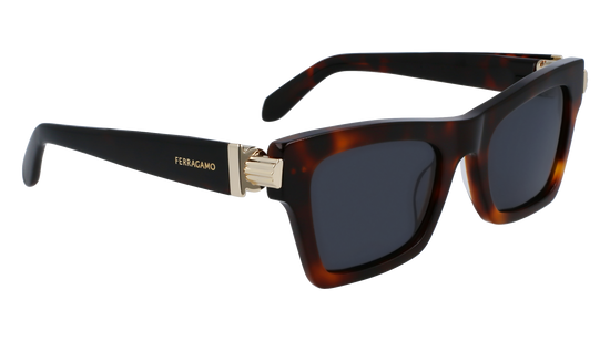 FERRAGAMO Sunglasses SF2013S 240 52