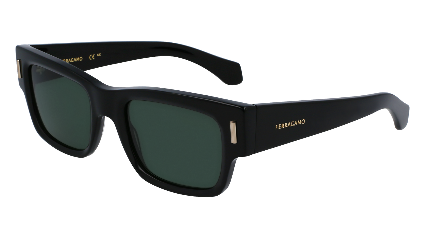 FERRAGAMO Sunglasses SF2011S 1 53