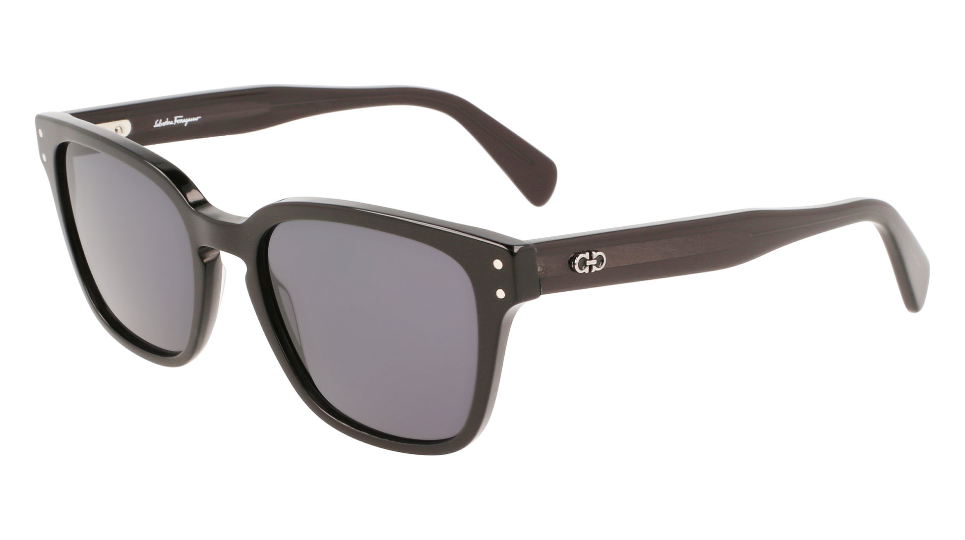 FERRAGAMO Sunglasses SF1040S 1 55
