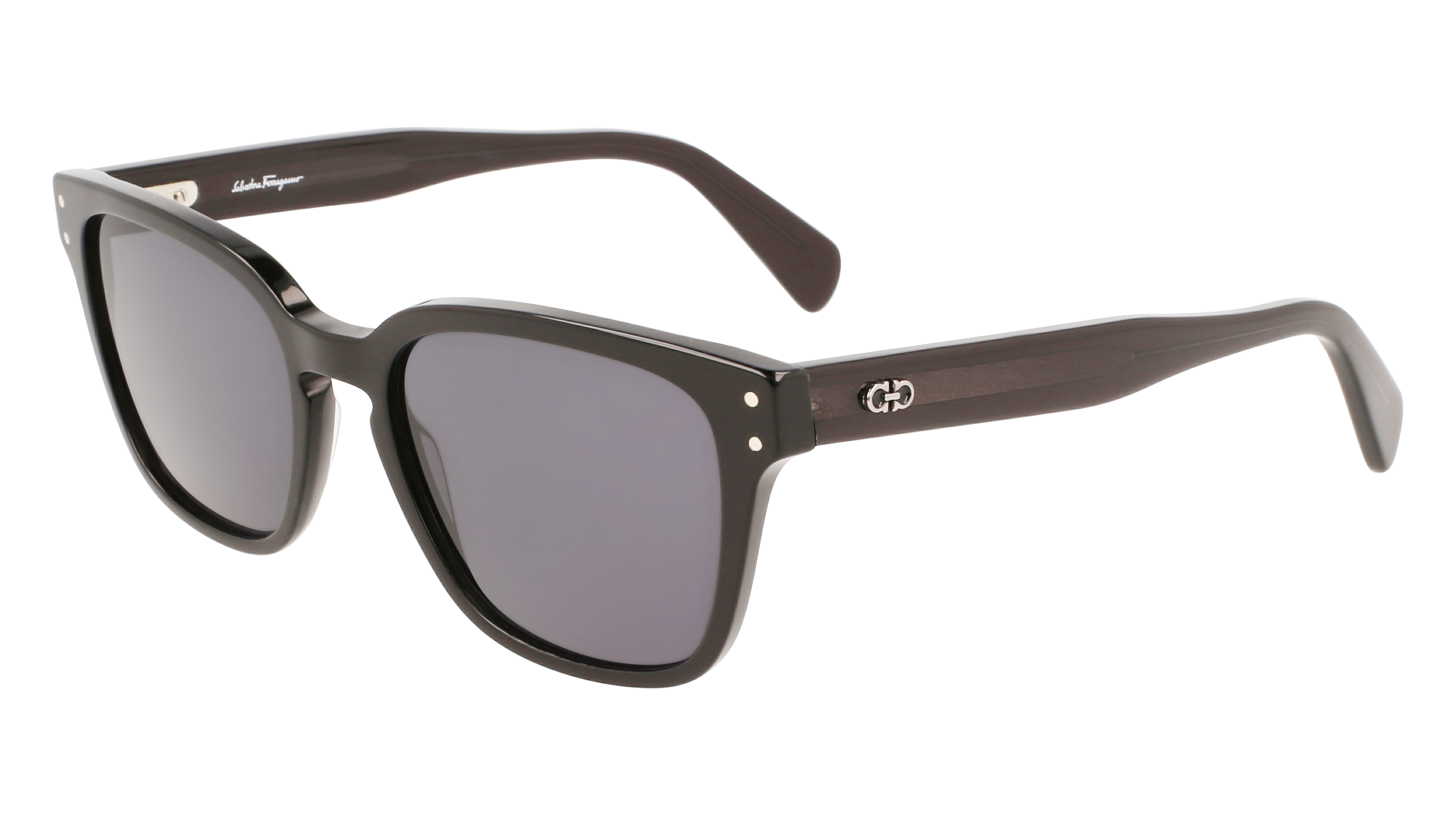 FERRAGAMO Sunglasses SF1040S 1 55