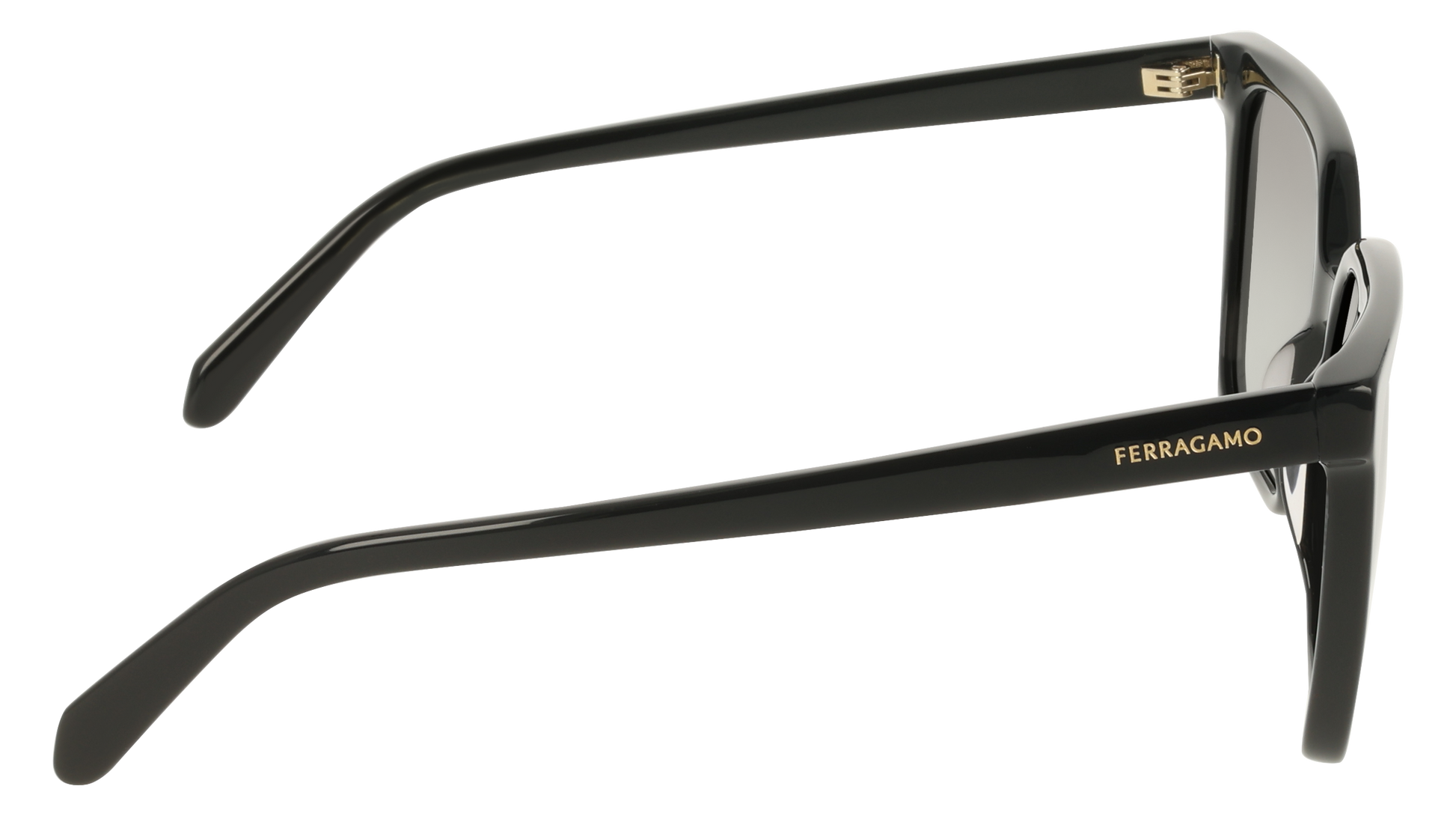 Ferragamo SF2102S 1