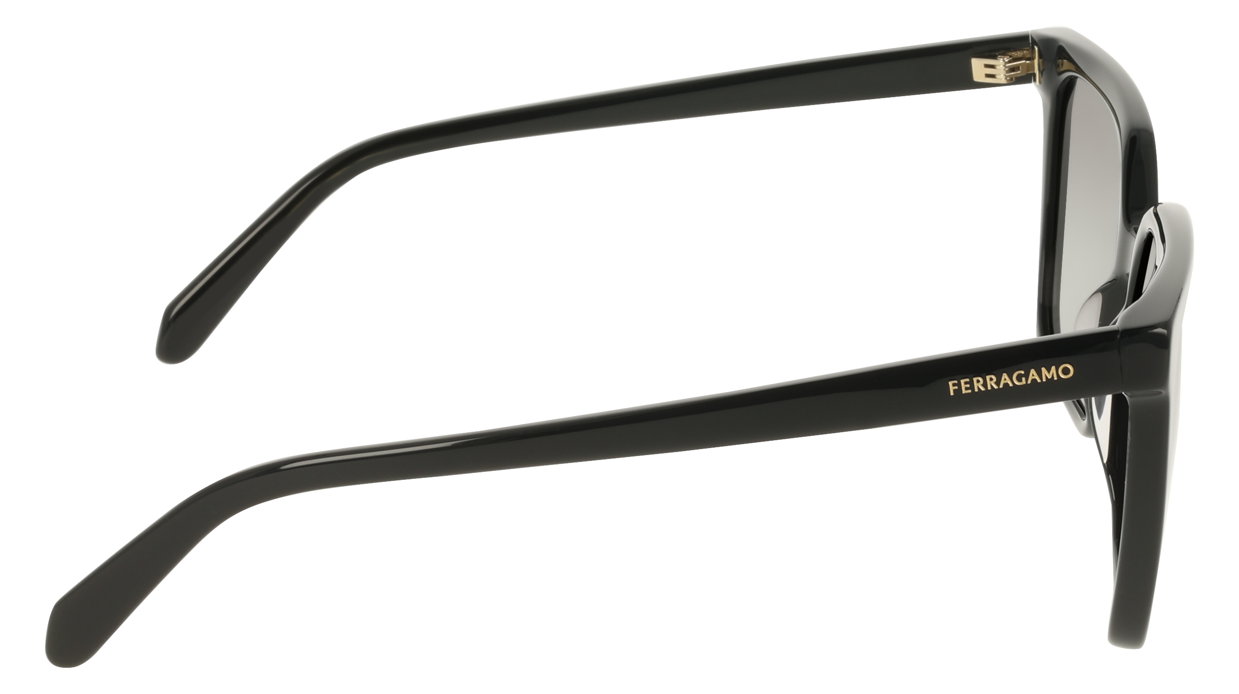 Ferragamo SF2102S 1