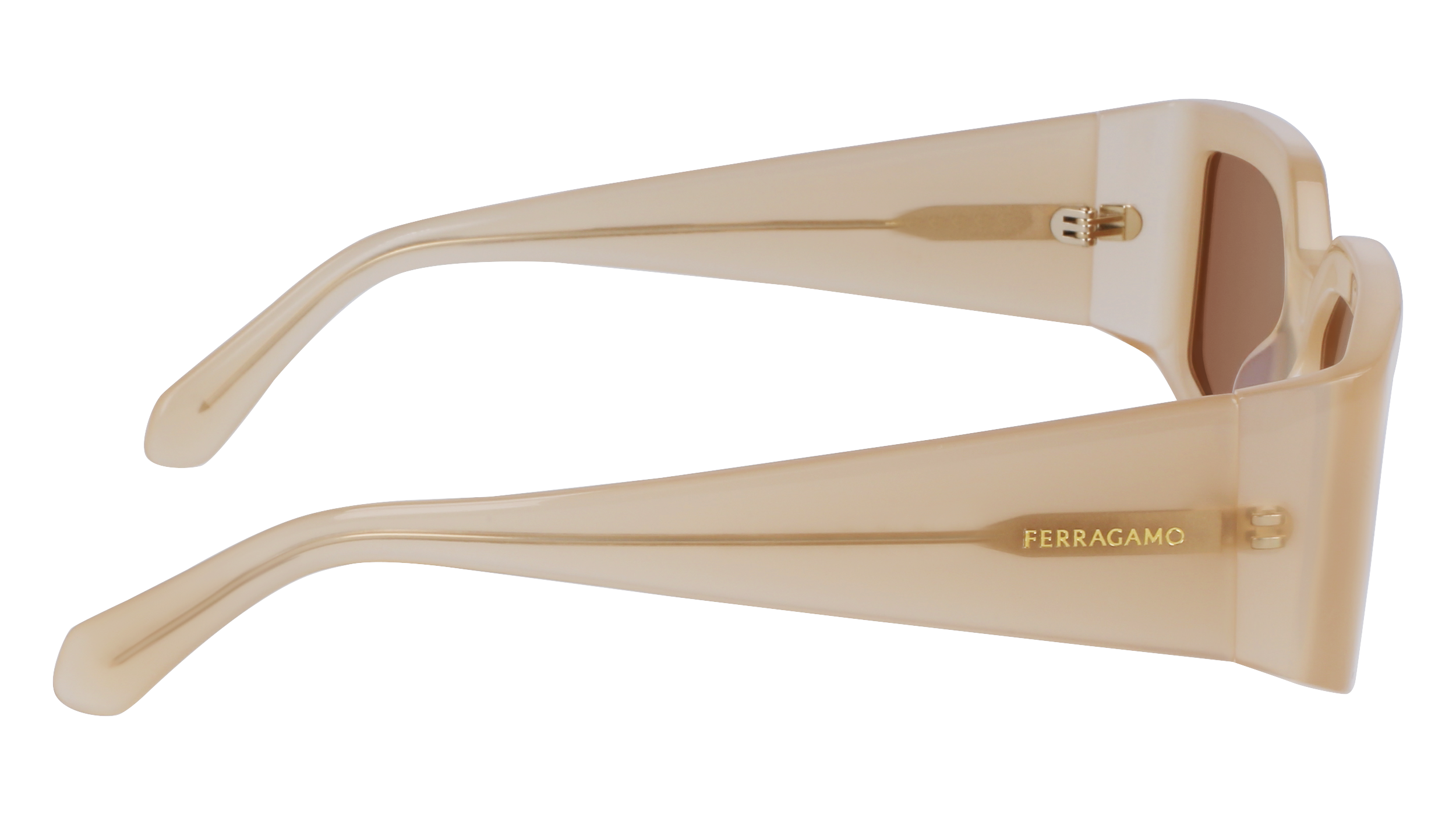 FERRAGAMO Sunglasses SF1101S 708 54