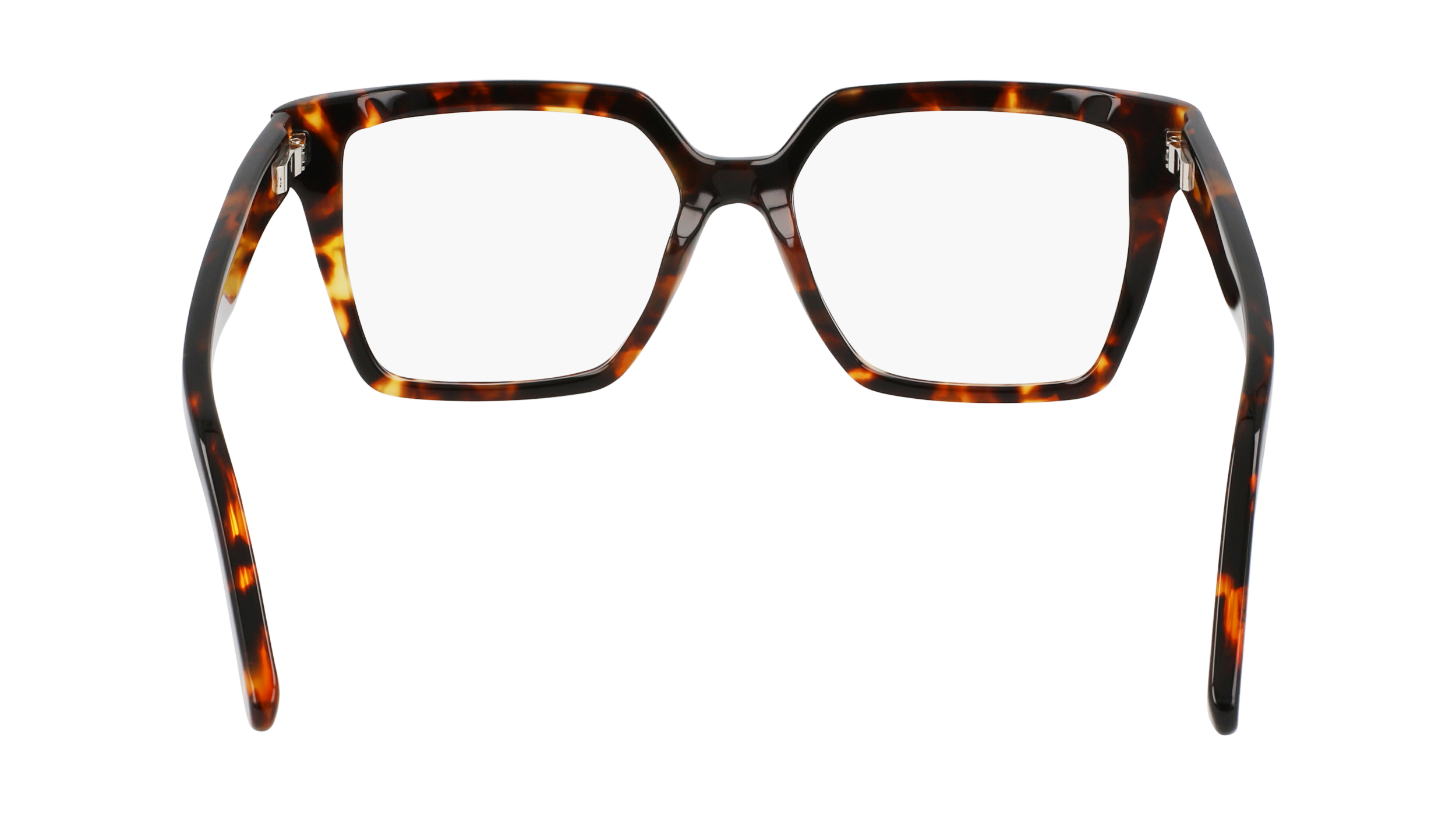 FERRAGAMO Eyeglasses SF2950N 219 54