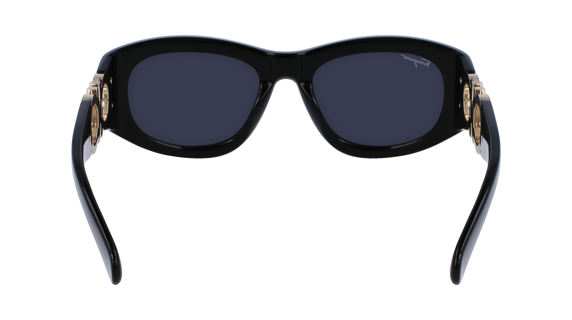 FERRAGAMO Sunglasses SF1082S 1 53