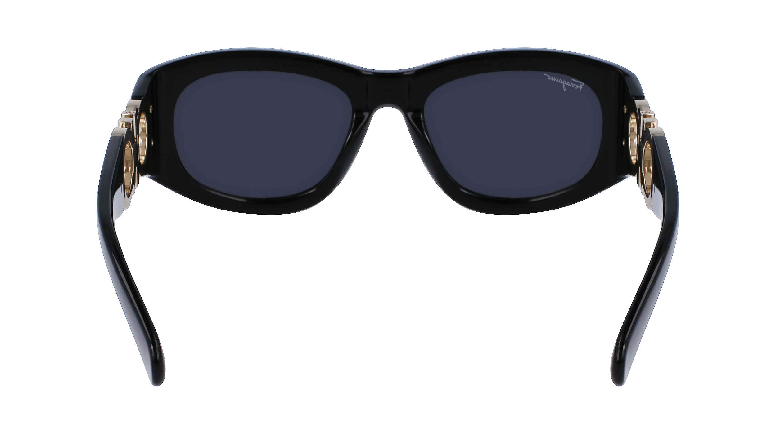 FERRAGAMO Sunglasses SF1082S 1 53