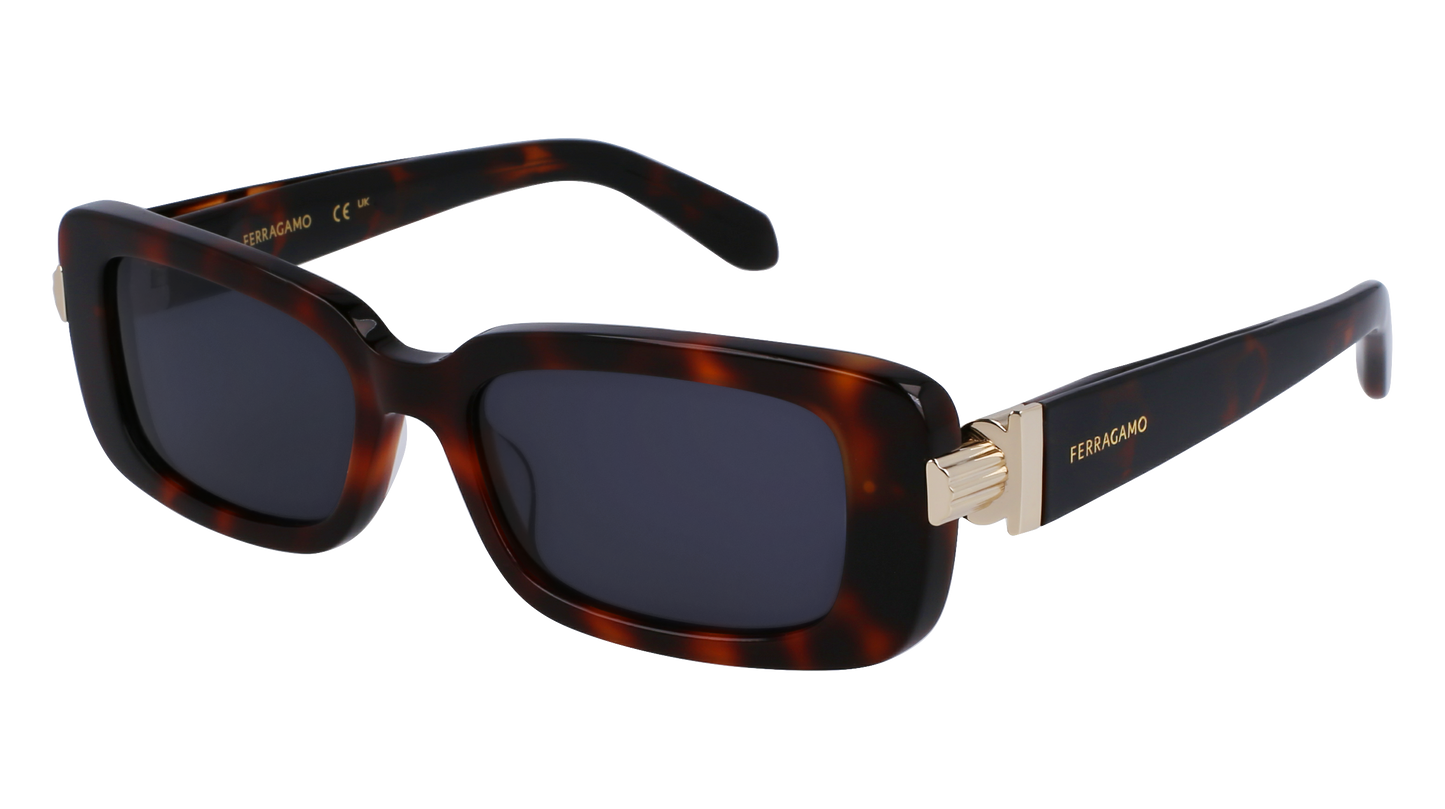 FERRAGAMO Sunglasses SF1105S 240 52