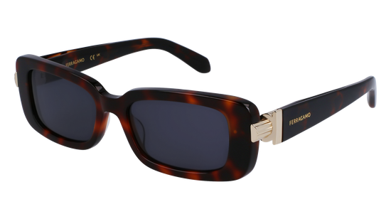 FERRAGAMO Sunglasses SF1105S 240 52