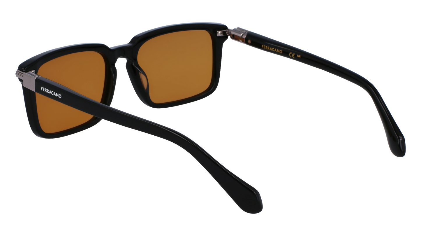 FERRAGAMO Sunglasses SF1110S 9 56