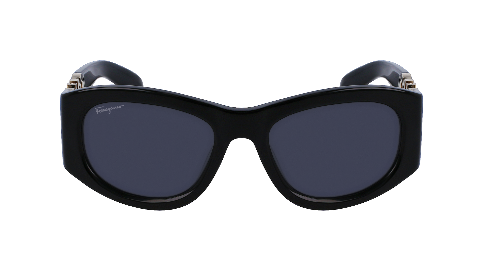 FERRAGAMO Sunglasses SF1082S 1 53