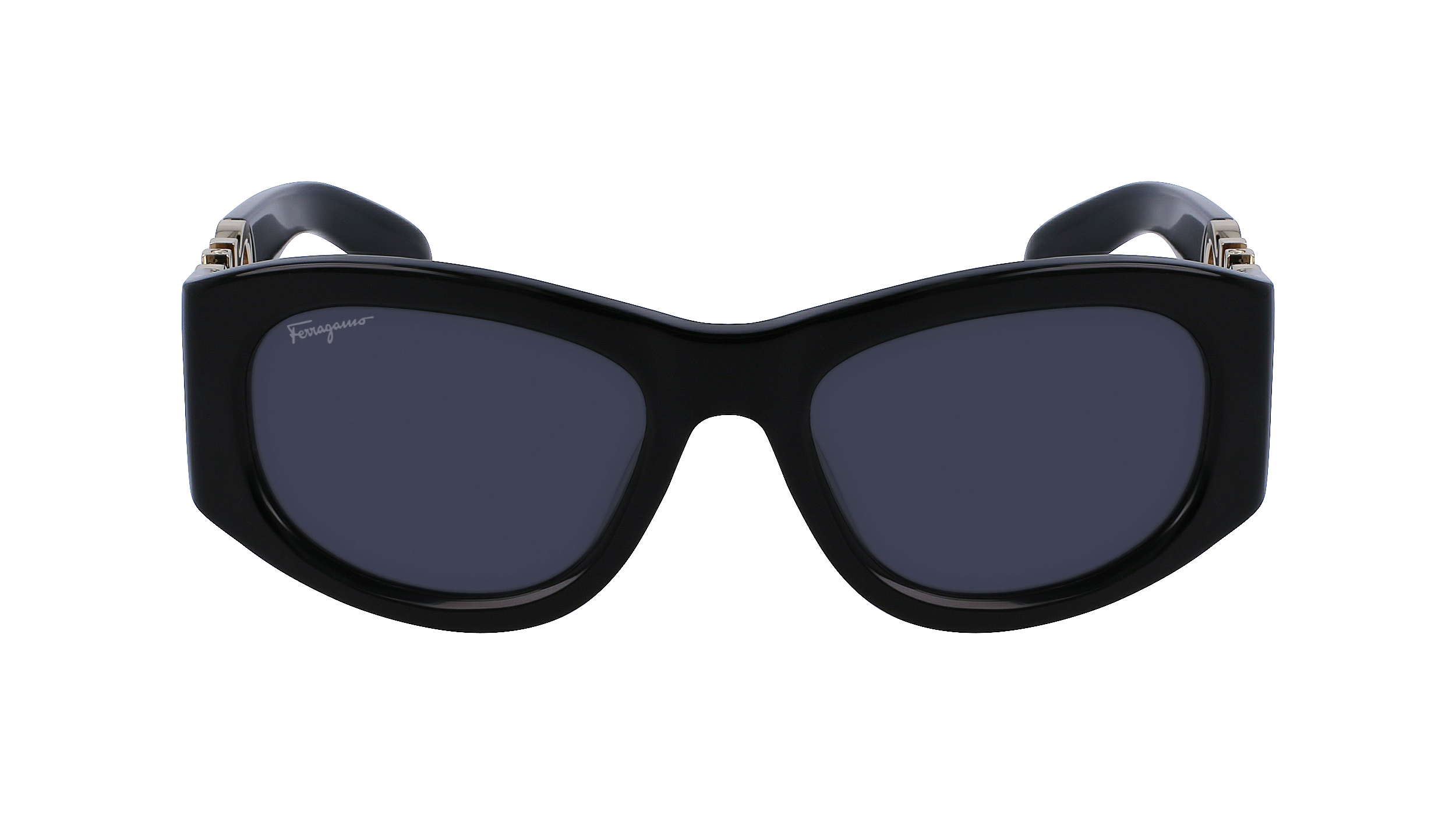 FERRAGAMO Sunglasses SF1082S 1 53