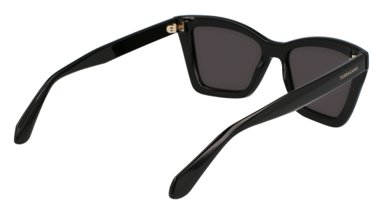 FERRAGAMO Sunglasses SF2039SE 1 53