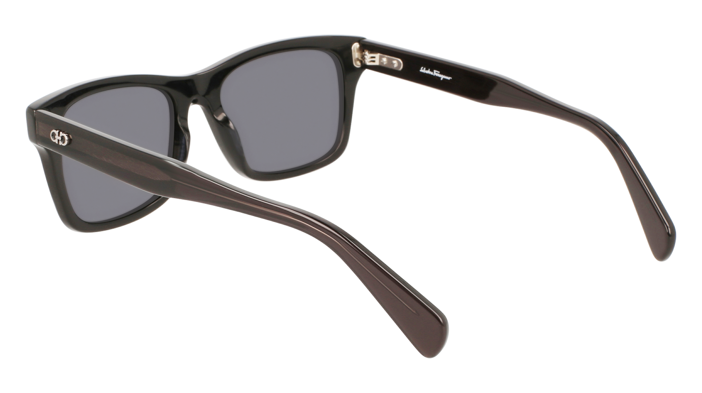 FERRAGAMO Sunglasses SF1039S 1 54