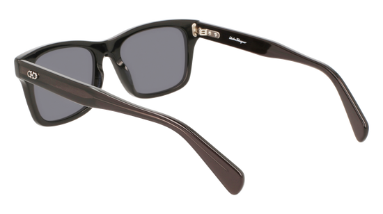 FERRAGAMO Sunglasses SF1039S 1 54