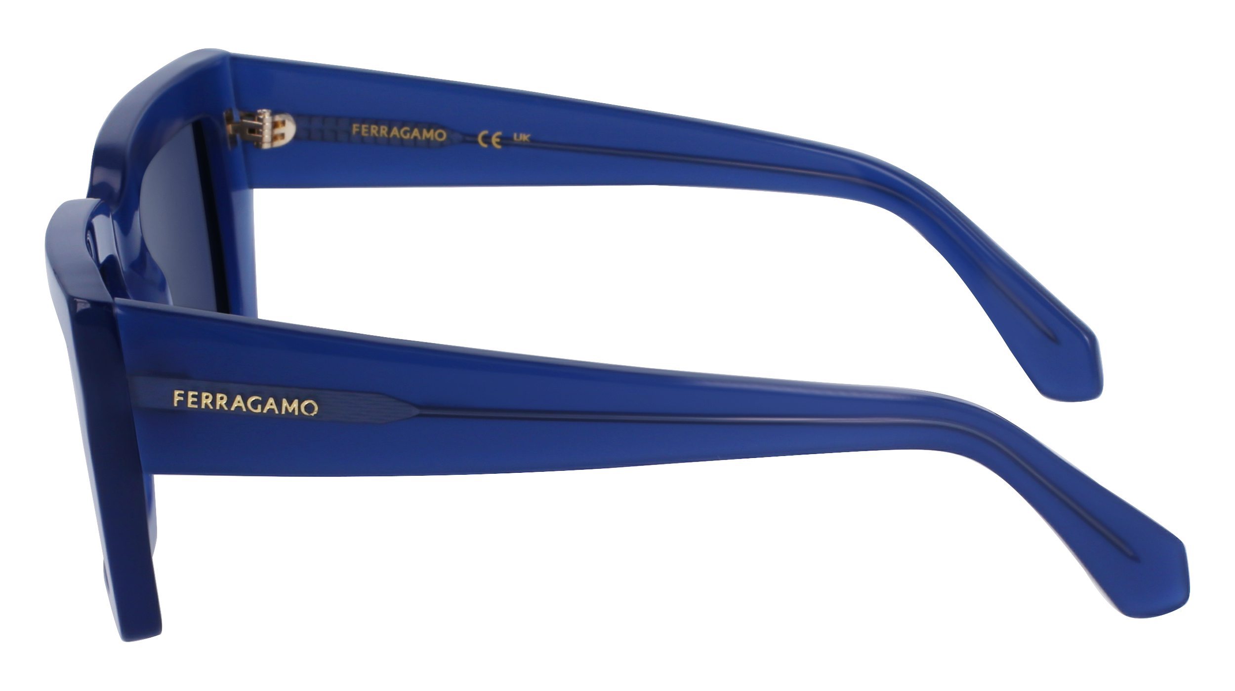 FERRAGAMO Sunglasses SF1108S 423 54