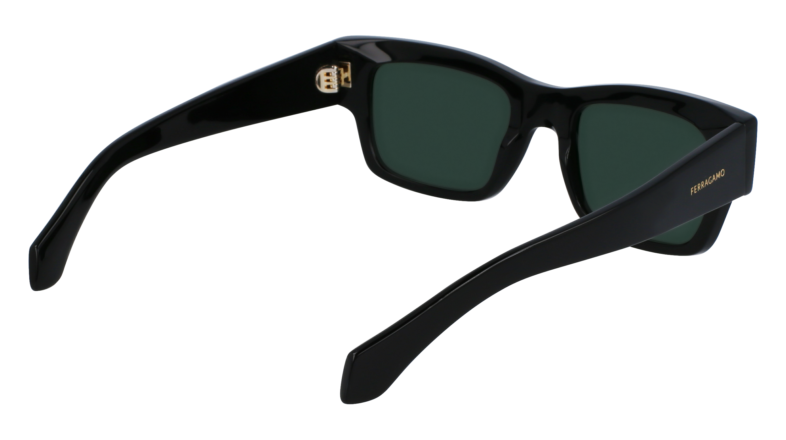 FERRAGAMO Sunglasses SF2011S 1 53