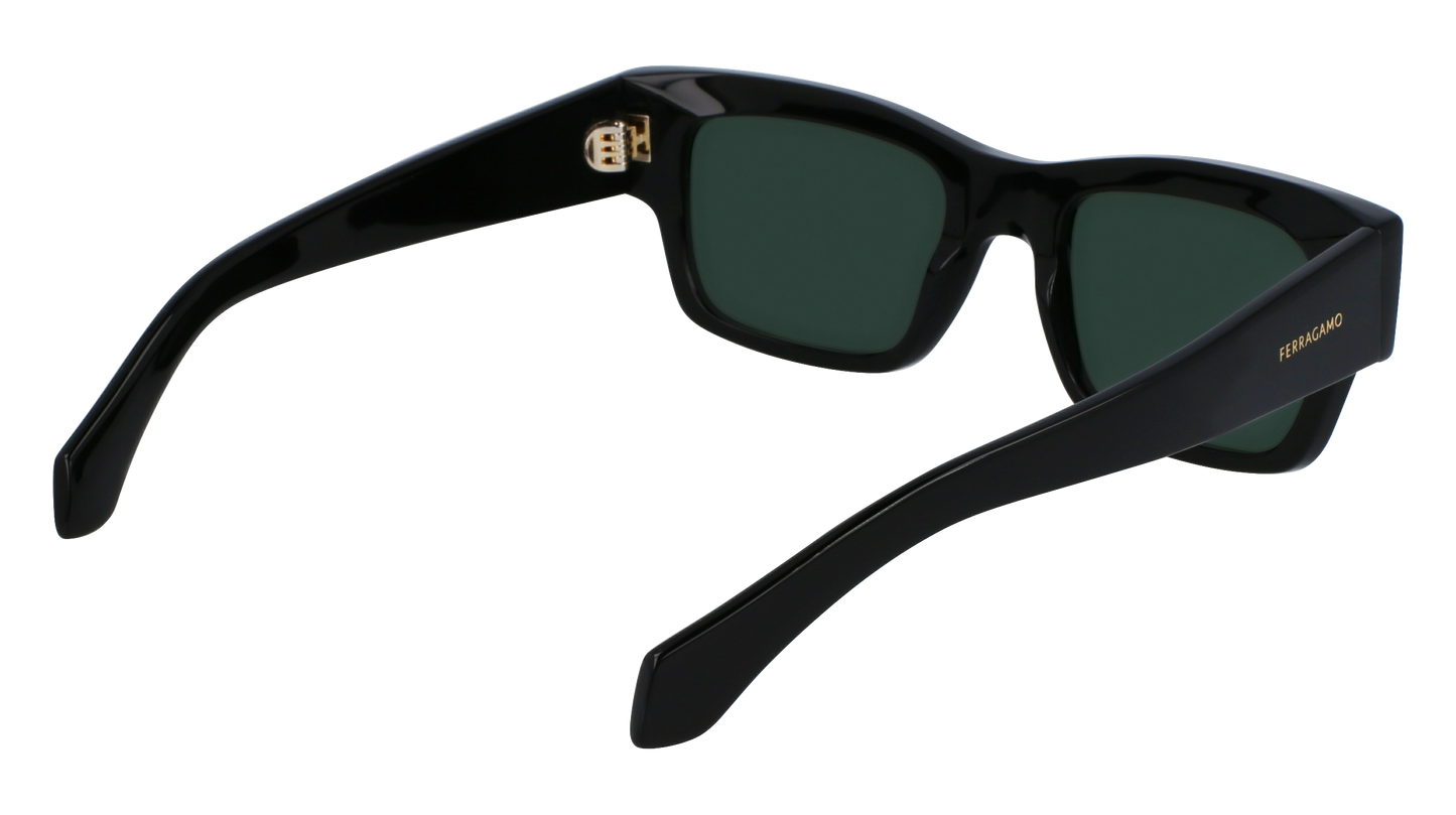 FERRAGAMO Sunglasses SF2011S 1 53