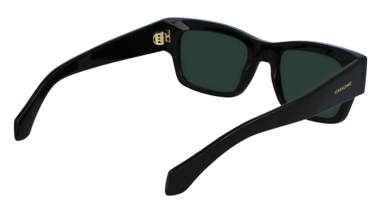 FERRAGAMO Sunglasses SF2011S 1 53