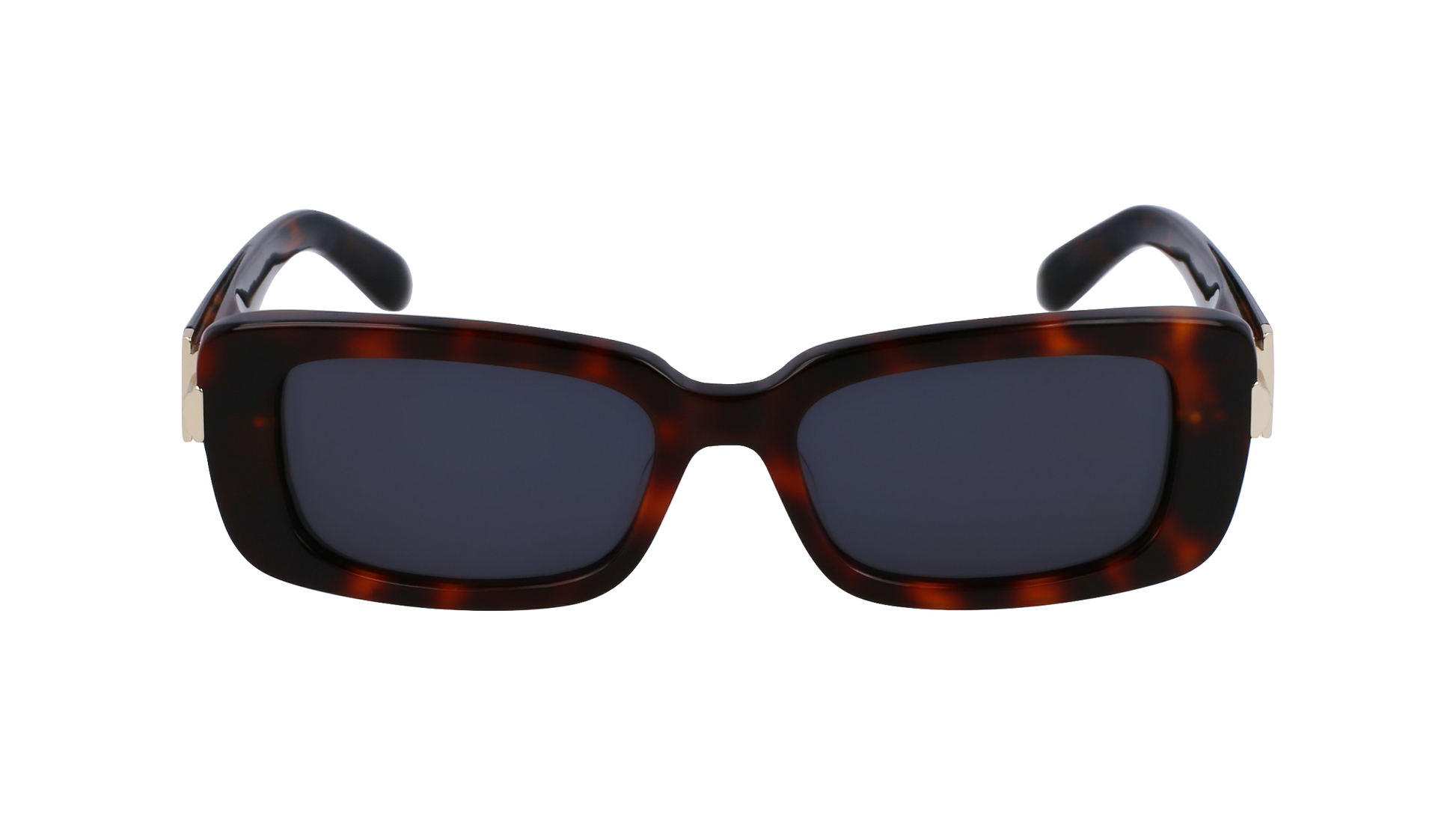 FERRAGAMO Sunglasses SF1105S 240 52