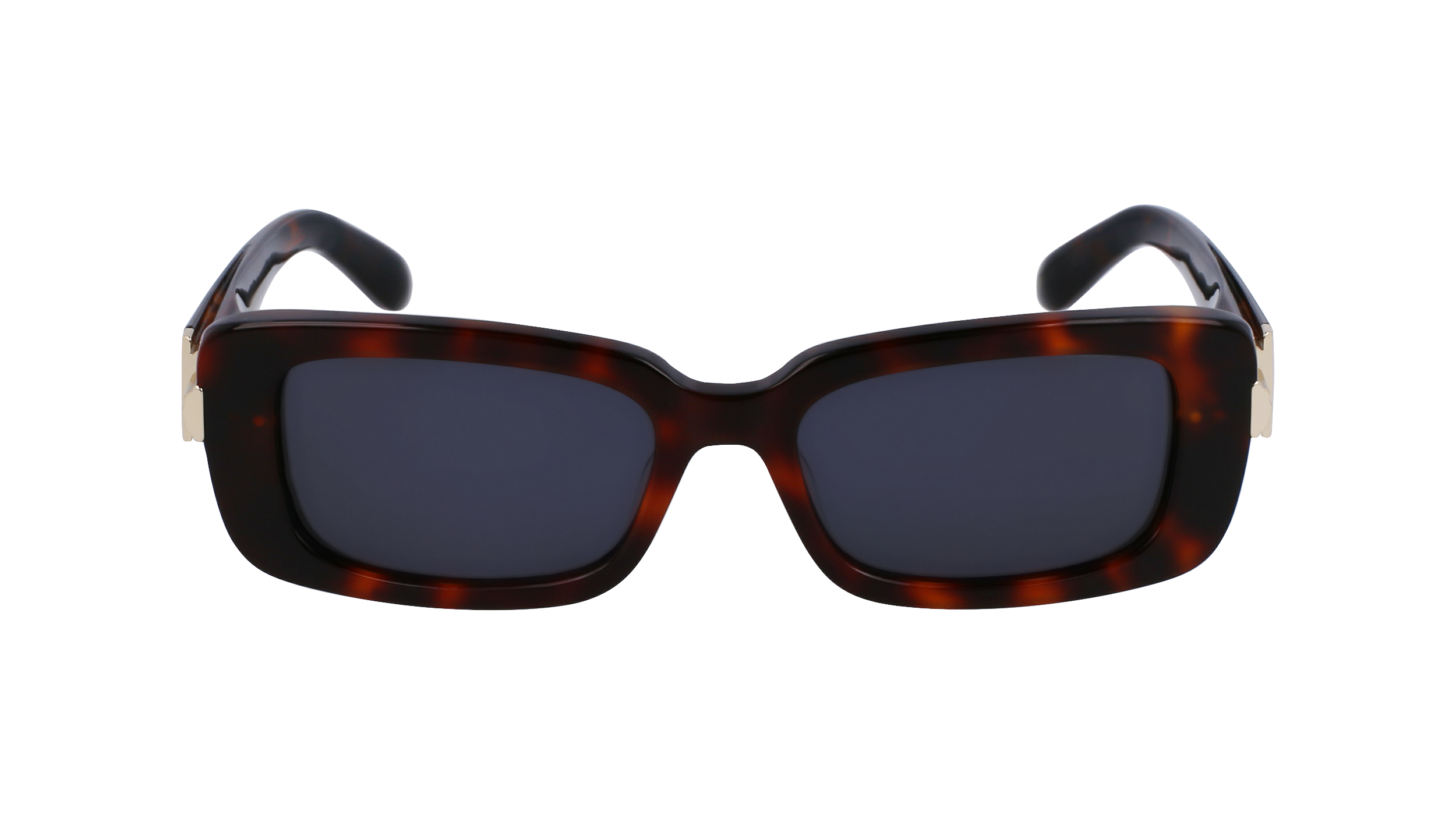 FERRAGAMO Sunglasses SF1105S 240 52