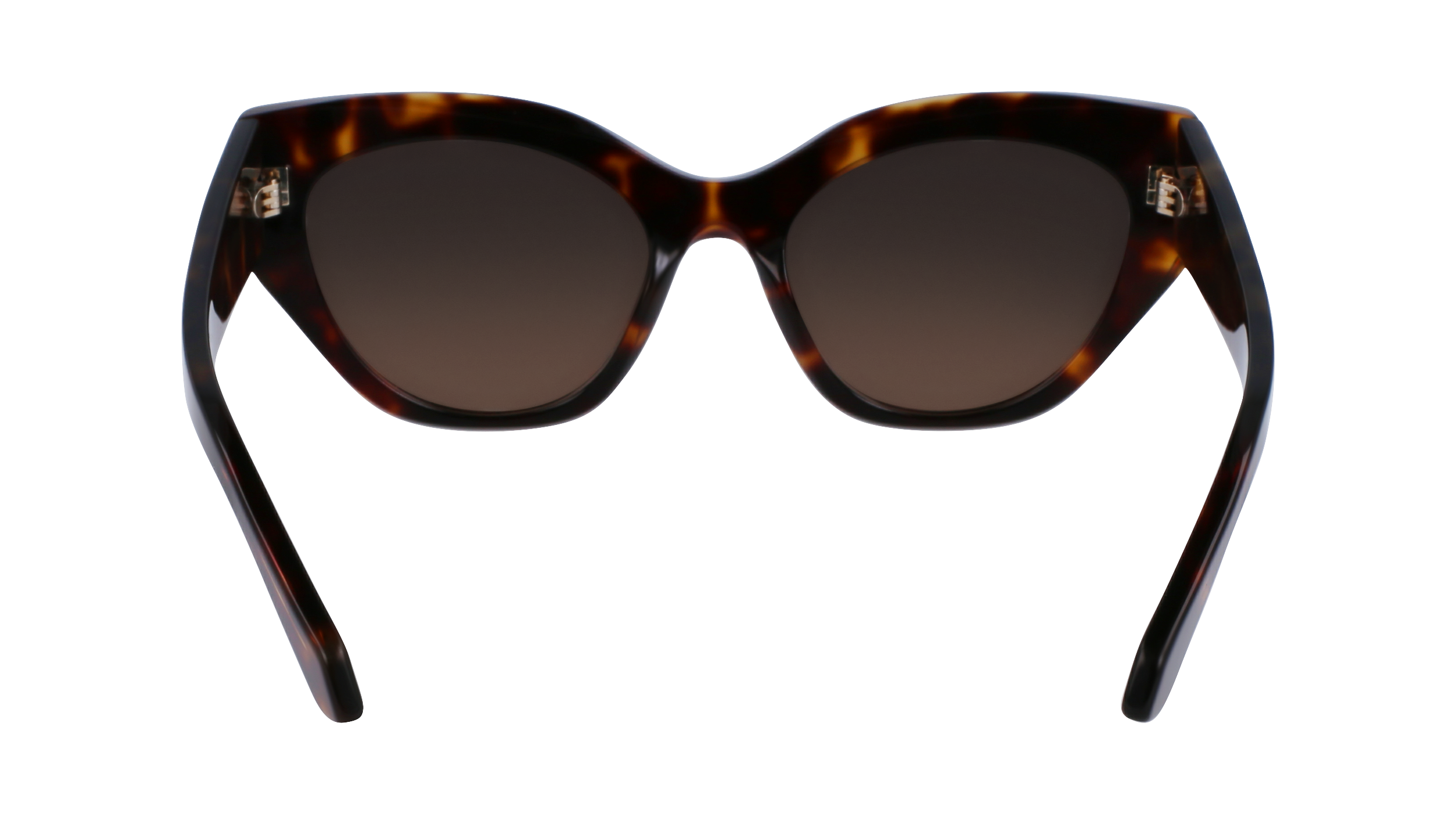 FERRAGAMO Sunglasses SF1107S 242 55