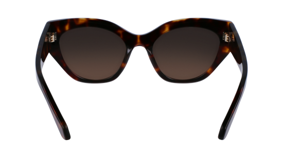 FERRAGAMO Sunglasses SF1107S 242 55