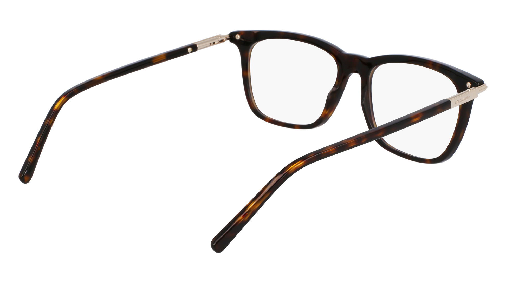 FERRAGAMO Eyeglasses SF3007 242 56