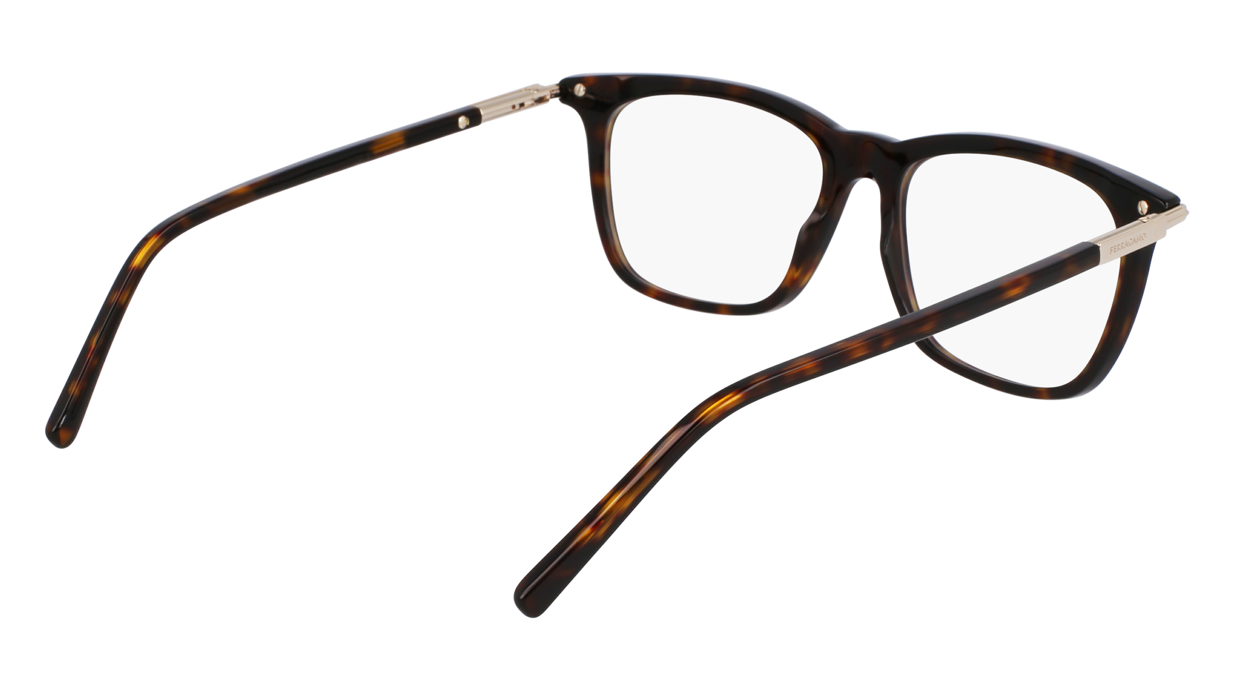 FERRAGAMO Eyeglasses SF3007 242 56