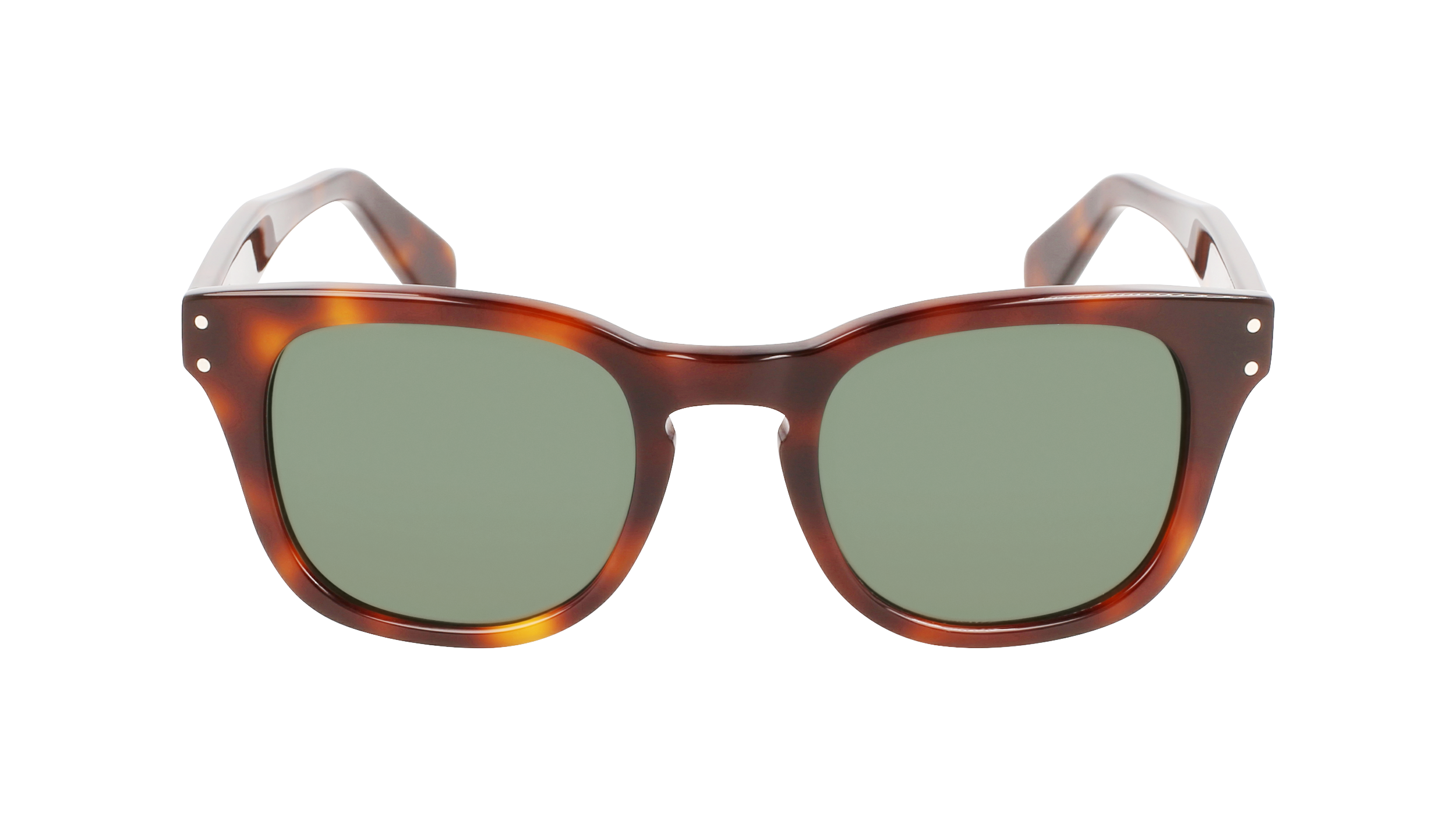 FERRAGAMO Sunglasses SF1057S 240 49