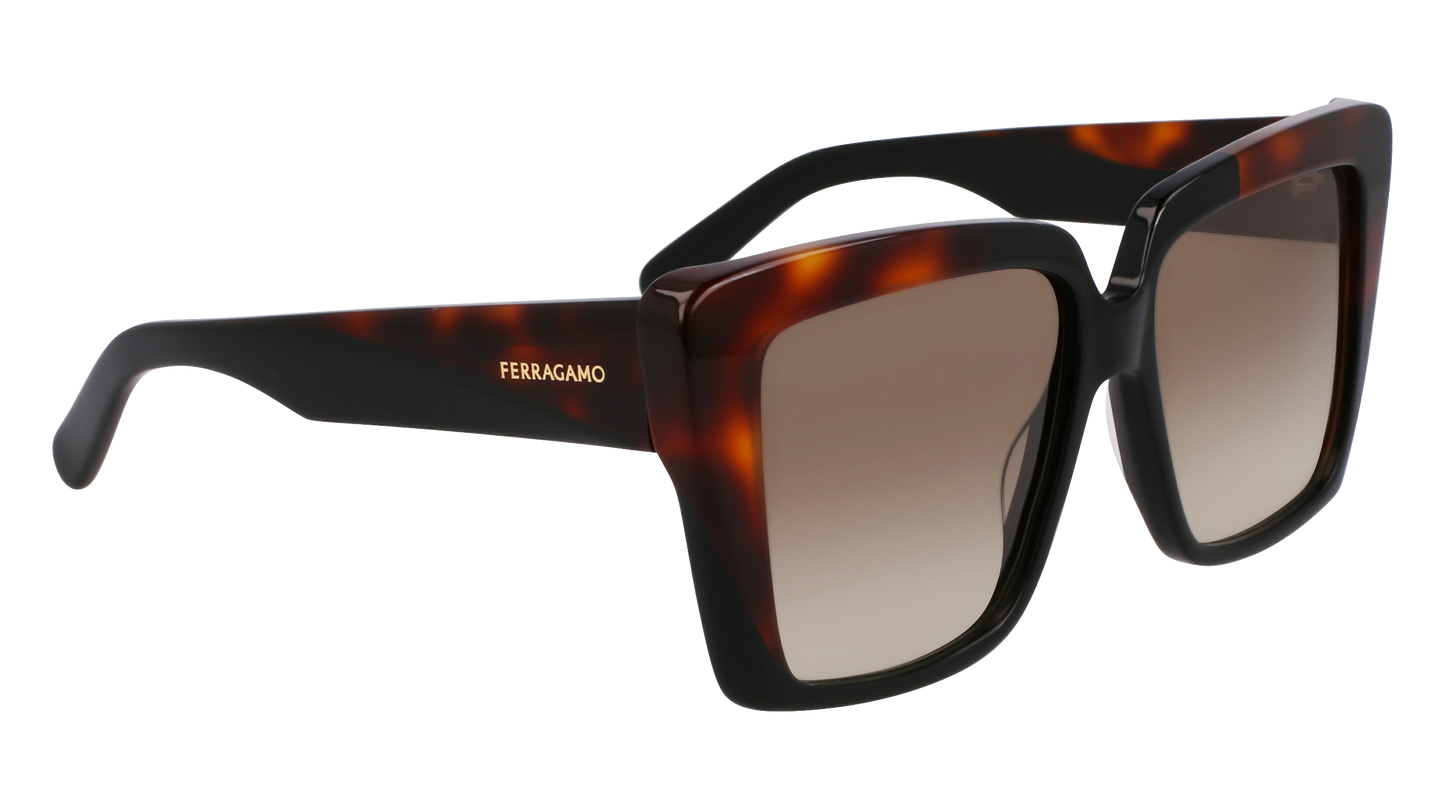 FERRAGAMO Sunglasses SF1060SN 6 55