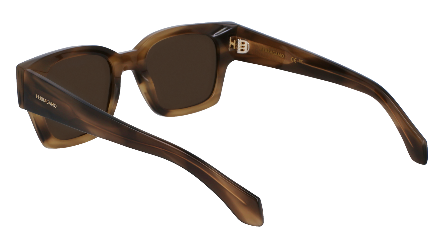 FERRAGAMO Sunglasses SF2010S 319 52