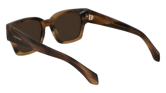 FERRAGAMO Sunglasses SF2010S 319 52