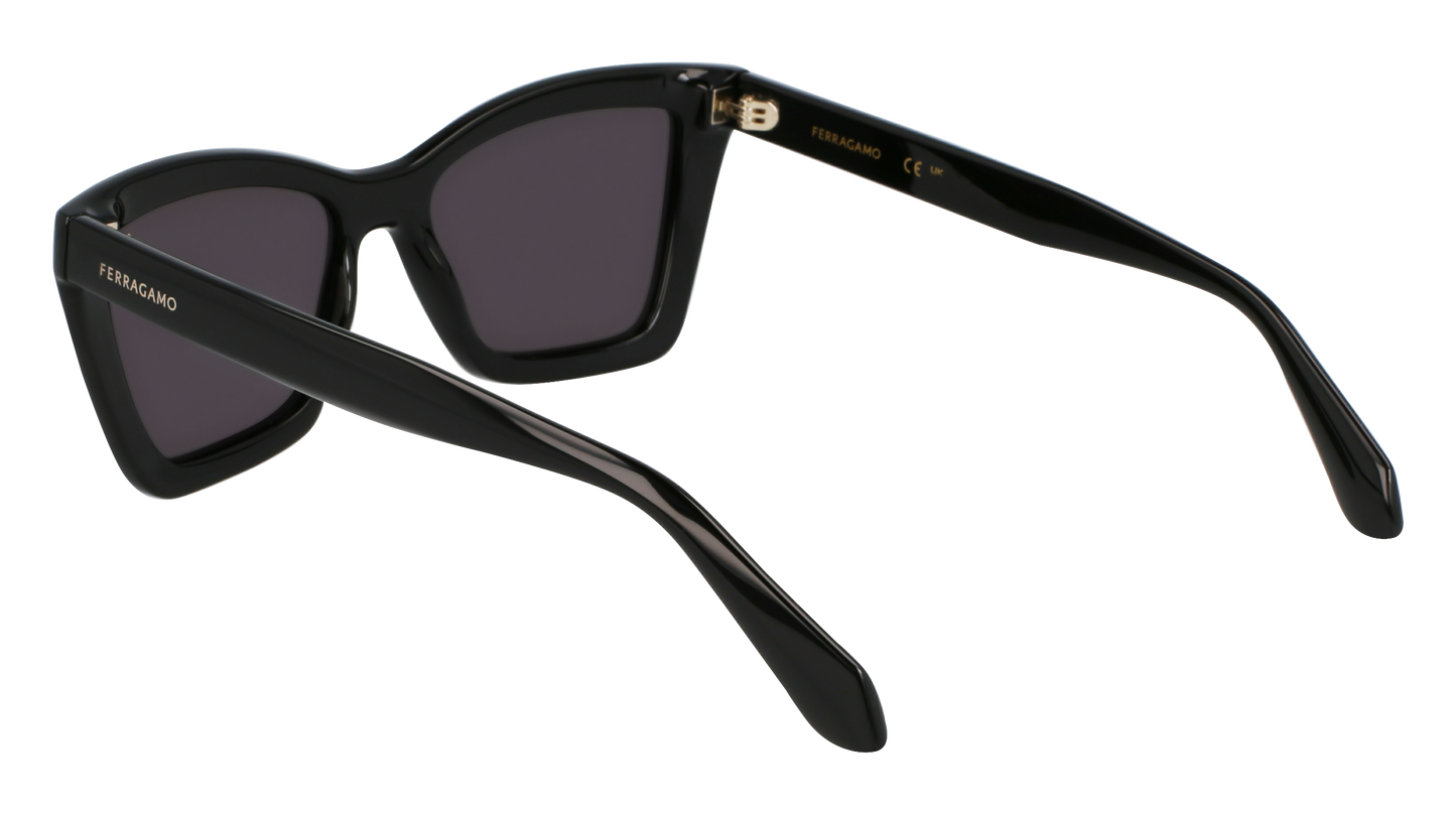 FERRAGAMO Sunglasses SF2039SE 1 53