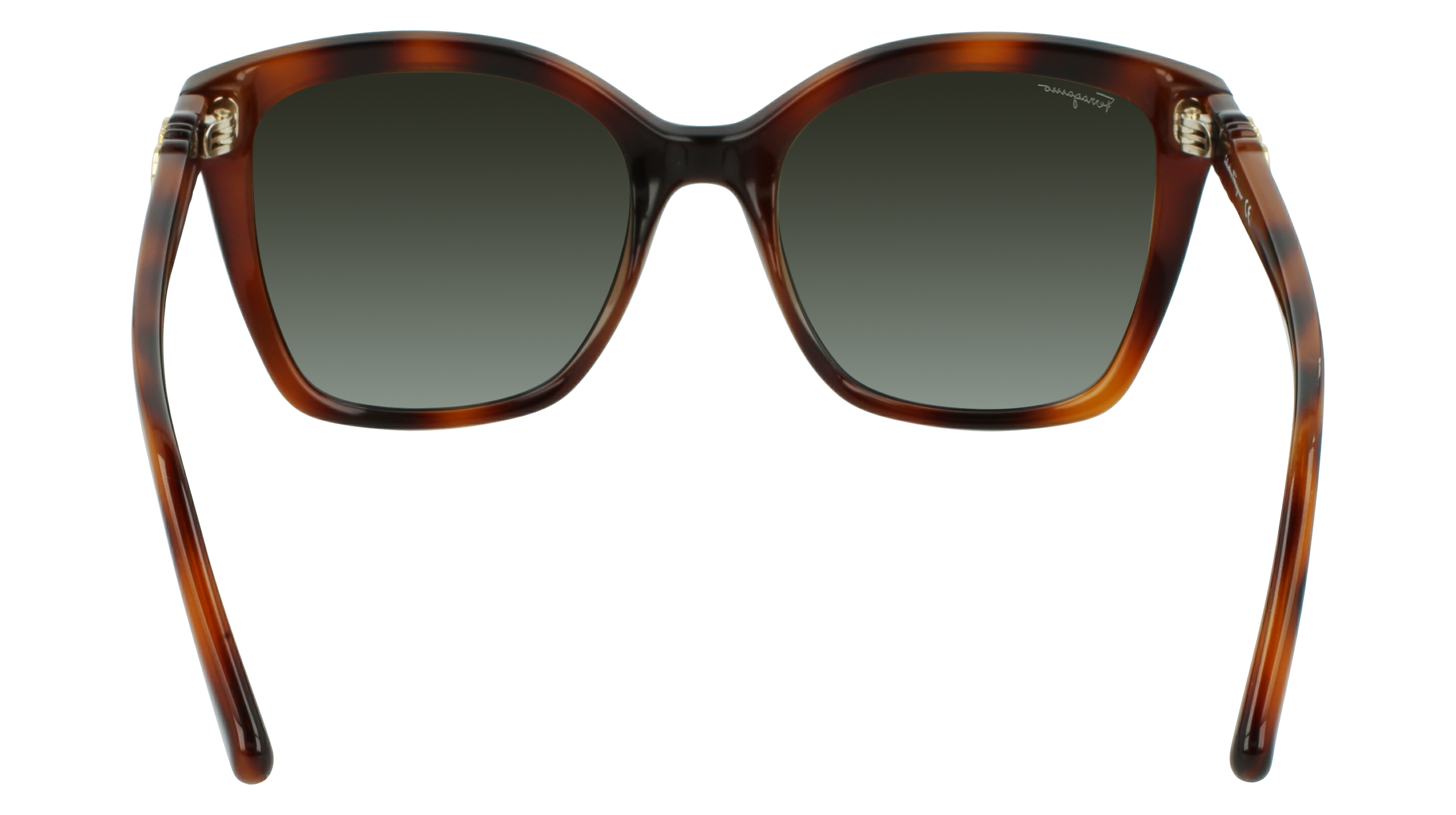 FERRAGAMO Sunglasses SF1026S 214 54