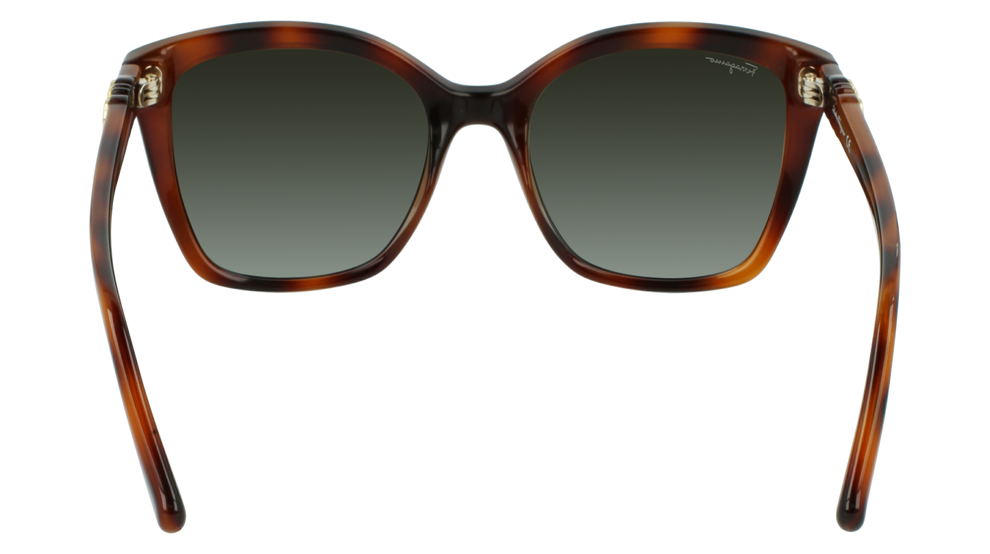 FERRAGAMO Sunglasses SF1026S 214 54